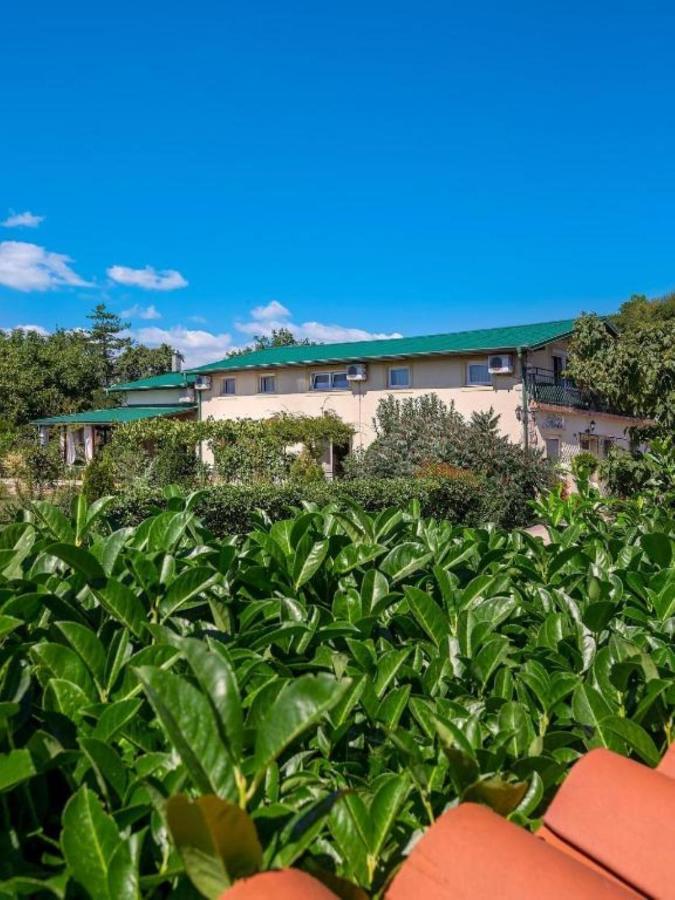 Apartments Villa Roza Drazice Kültér fotó