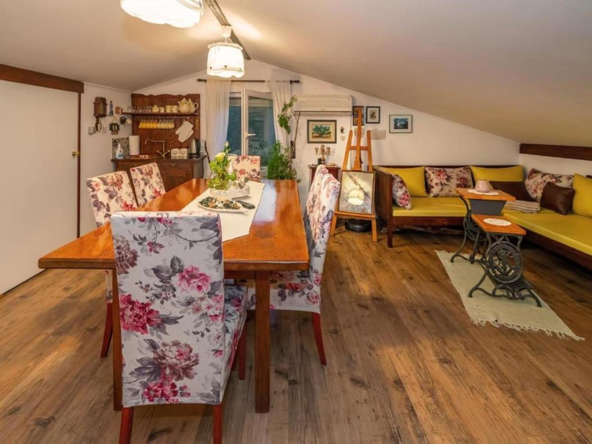 Apartments Villa Roza Drazice Kültér fotó